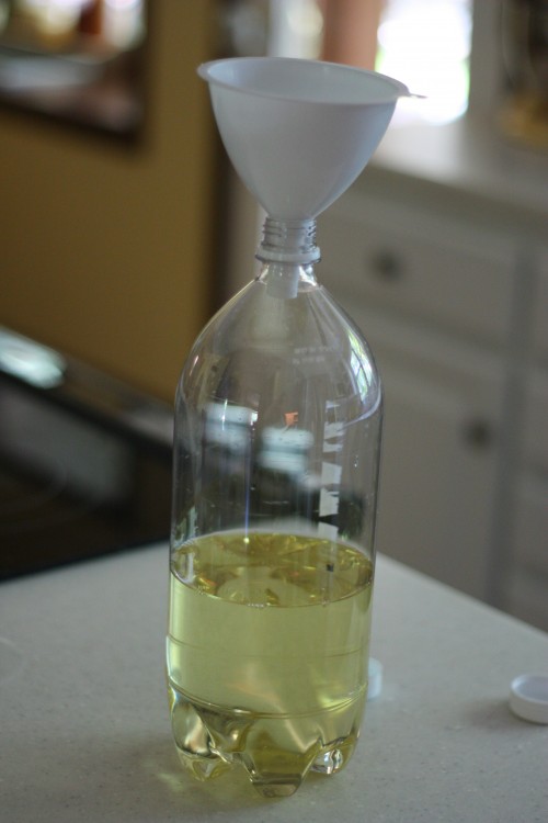 How To Make A Lava Lamp Oil and Water Experiment